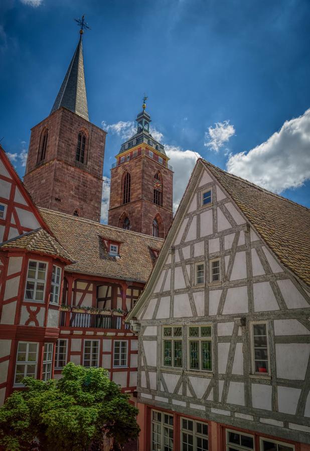 Steinhaeuser Hof Neustadt an der Weinstraße 외부 사진