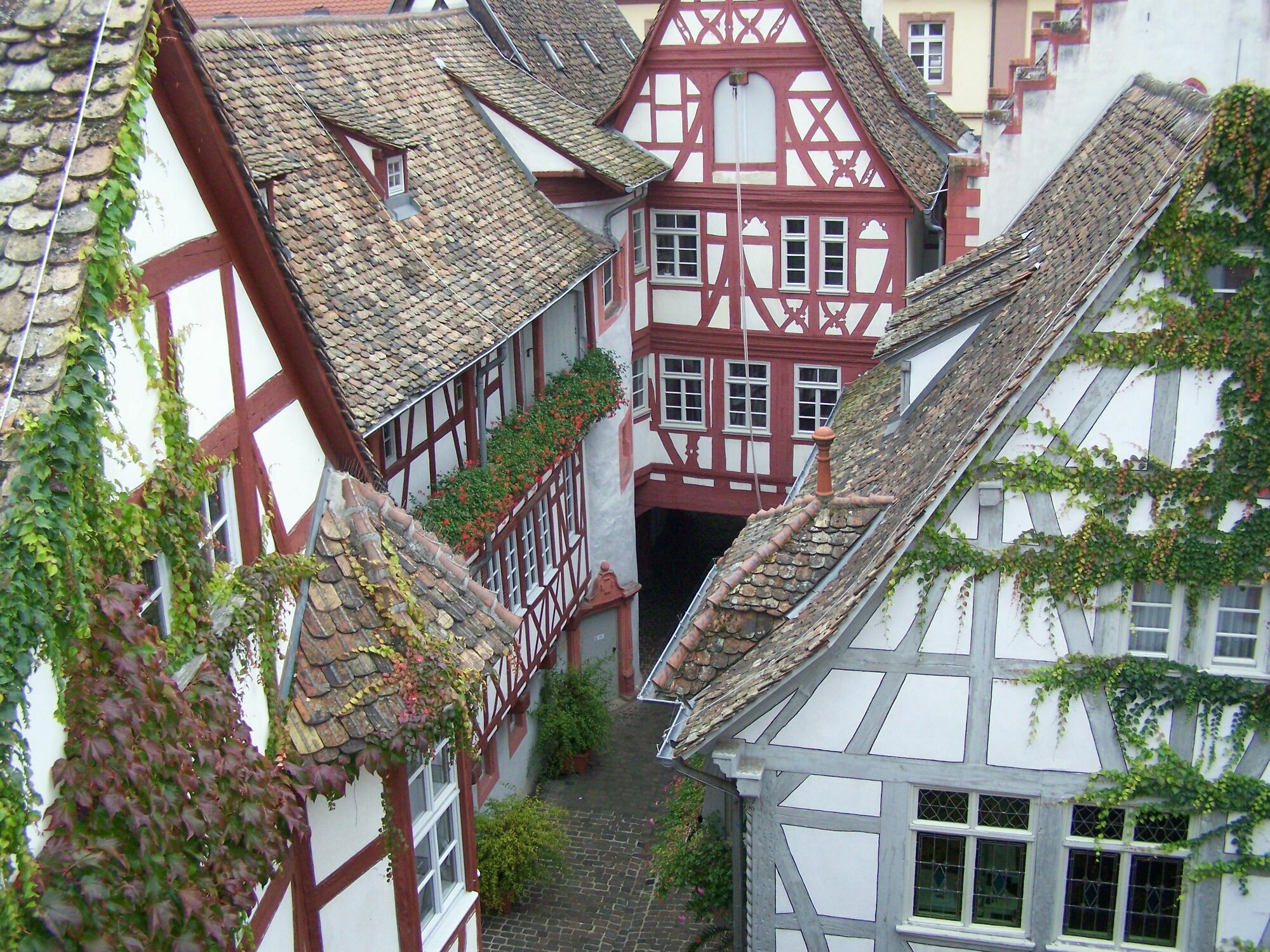 Steinhaeuser Hof Neustadt an der Weinstraße 외부 사진